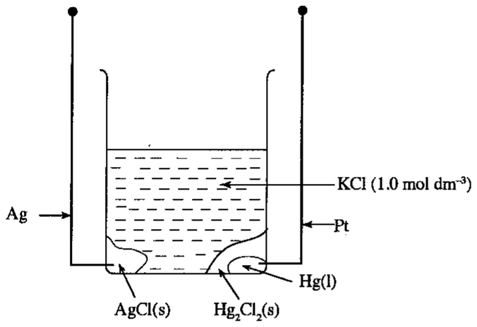 The electrochemical cell
