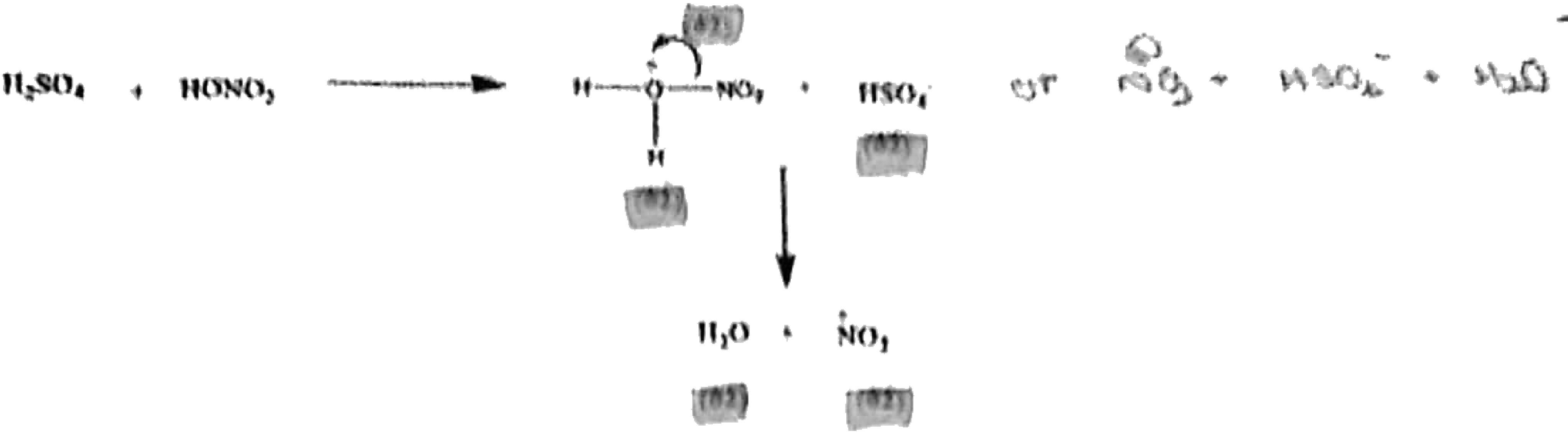 Formation of the nitronium ion (handwritten alternative: ^{+}NO_2 + HSO_4^{−} + H_2O)